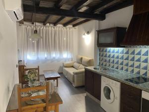 埃尔瓦Apartamentos Rurales El Zarzo的厨房以及带沙发和洗衣机的客厅。