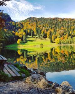 BreitenwangPanoramablick的享有湖泊美景,树上倒映在