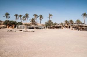 阿拉德Kfar Hanokdim - Desert Guest Rooms的棕榈树和帐篷的大型空海滩