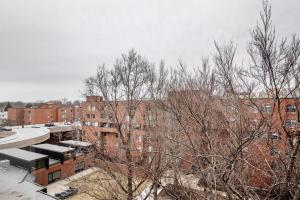 冬天的Brookline 1br w gym nr Brookline Village T BOS-852