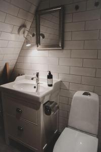 孔斯巴卡New and cosy apartment on a farm的一间带水槽、卫生间和镜子的浴室