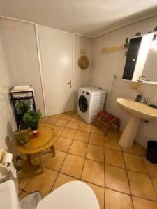 ThermoLaki's House Οροφοδιαμέρισμα με σοφίτα的一间带水槽和微波炉的小浴室