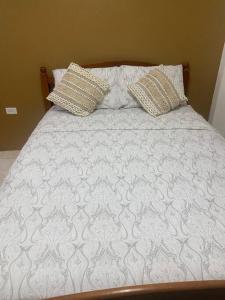 斯卡伯勒Cozy Quarters Tobago的床上有2个枕头