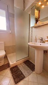 Alepoudimitris house 2的带淋浴、盥洗盆和卫生间的浴室