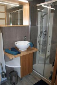 La BroqueGîte des Renards的一间带水槽和淋浴的浴室