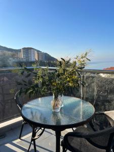 贝西奇Paradise Apartments Becici的阳台上的桌子上放着植物
