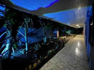 Los ChilesHotel Wilson Tulipan Los Chiles的建筑中带有蓝色灯光的植物走廊