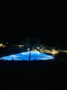 Saint MartinEasy Friendly SXM的夜晚有棕榈树的蓝色泳池