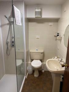North Cornelly格林阿里克汽车酒店的一间带卫生间和水槽的浴室