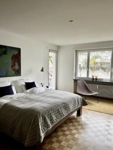 巴塞尔Gemütliche Wohnung Nähe Uni的一间卧室设有一张大床和一个窗户。