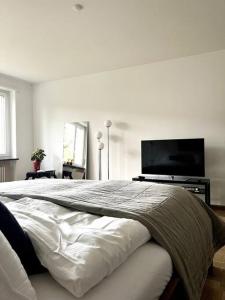 巴塞尔Gemütliche Wohnung Nähe Uni的一间卧室配有一张大床和一台平面电视