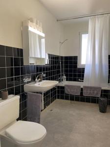 巴塞尔Gemütliche Wohnung Nähe Uni的浴室配有卫生间、盥洗盆和淋浴。