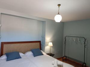 埃尔切德拉谢拉Casa Rural Casa Sagasta的一间卧室配有一张带两个蓝色枕头的床