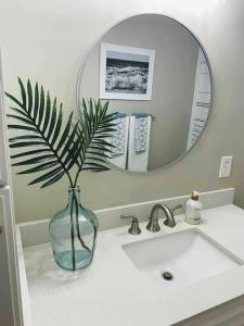 卡罗来纳比奇Vitamin Sea的花瓶坐在浴室水槽上,带镜子
