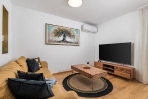 里耶卡Tersatto的带沙发和平面电视的客厅