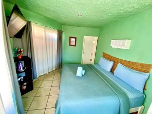 瓜纳华托Casa Rofo的一间位于绿色客房内的卧室,配有一张蓝色的床