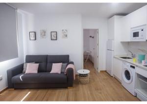 圣维森特-德拉巴尔克拉Apartamento Felisa A的带沙发和洗衣机的客厅