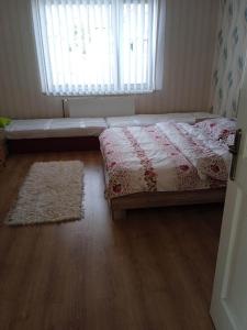 赫拉布斯Ubytovanie Tri sestry的一间卧室设有床、窗户和地毯。