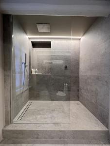 拉莫拉Luxury Langhe Loft的带淋浴的浴室和玻璃门