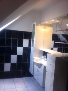 韦森贝格瓦尔德雷斯特朗约翰内斯酒店的浴室设有黑色和白色的瓷砖墙