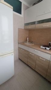 Sukhumi2-комнатная квартира Ген.Дбар/Лакоба的厨房配有水槽和白色冰箱