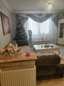 赫拉布斯Ubytovanie Tri sestry的客厅配有圣诞树和沙发