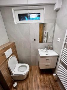 特尔乔夫Chata Barborka的一间带卫生间和水槽的浴室