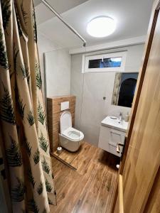 特尔乔夫Chata Barborka的一间带卫生间和水槽的浴室