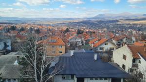 索科矿泉村Apartman Marija的享有带房屋和屋顶的城镇美景