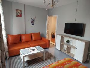 南埃福列EL Mar的客厅配有橙色沙发和电视