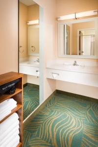 本顿维尔本顿维尔万豪春季山丘套房酒店的一间带水槽和镜子的浴室