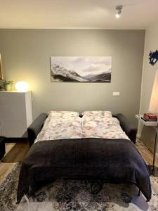雷克雅未克Cosy one bedroom apartment in Reykjavík的一间卧室,卧室内配有一张大床