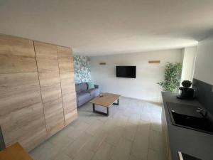 塞扬Appartement neuf avec jacuzzi privatif et piscine的带沙发和电视的客厅