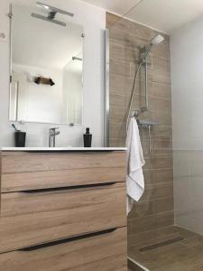 塞扬Appartement neuf avec jacuzzi privatif et piscine的带淋浴和盥洗盆的浴室