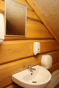 RäniAskari puhkemaja的一间带水槽和镜子的浴室