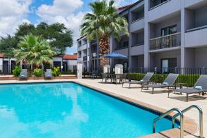 圣安东尼奥圣安东尼奥市中心万怡酒店的一座游泳池,里面种有椅子和棕榈树