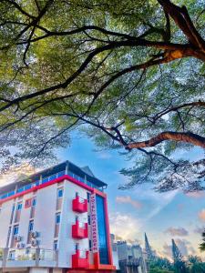 科托努HÔTEL NOAHGARDEN 2的树旁的建筑,有红色和蓝色的窗户