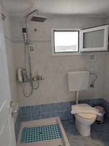 法罗斯岛Sofia sea view apartment的一间带卫生间和淋浴的浴室