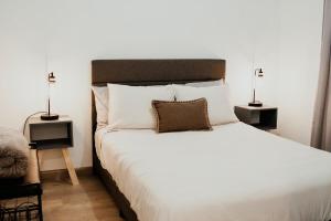 瓜达鲁佩镇Casa Colibri @ Guadalupe Valley的一间卧室配有一张带两盏灯的大型白色床。