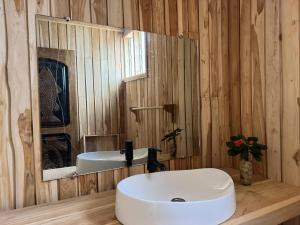 BopaHotel Restaurant Chez Theo的浴室设有白色水槽和镜子