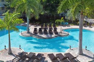 基韦斯特基韦斯特万豪费尔菲尔德度假酒店的一个带躺椅和棕榈树的游泳池