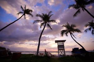 哈普那海滩傲途格精选酒店之冒纳凯阿火山海滩酒店的海滩上的两棵棕榈树和一把椅子