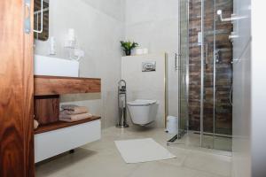 MaglajEdemus - Motel & Restaurant的一间带卫生间和玻璃淋浴间的浴室
