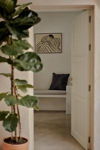 贝赫尔-德拉弗龙特拉Casa Uva - Boutique Guest House的带沙发和植物的客厅