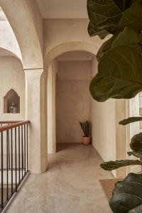 贝赫尔-德拉弗龙特拉Casa Uva - Boutique Guest House的植物房子的走廊