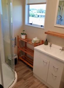 怀蒂昂格Cozy Cottage的带淋浴、盥洗盆和镜子的浴室