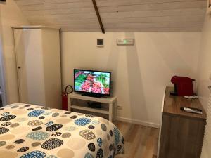 BucchianicoLa Culla del Conte的一间卧室配有一张床和一台平面电视