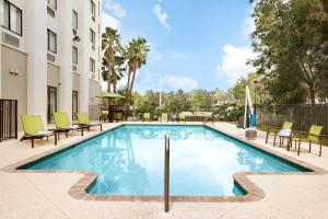 西棕榈滩斯普林希尔万豪西棕榈滩I-95酒店的游泳池周围设有椅子