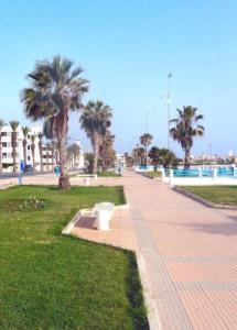 杰迪代Location de rêve à El Jadida, juste à côté de la plage, Vivez l'aventure的棕榈树公园和人行道上的长凳