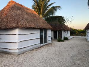 塞莱斯通Cabañas Cinco Elementos的一座带茅草屋顶和棕榈树的建筑
